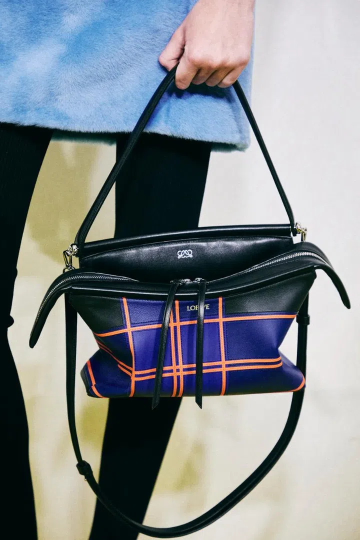 fashion loewe whisker bag