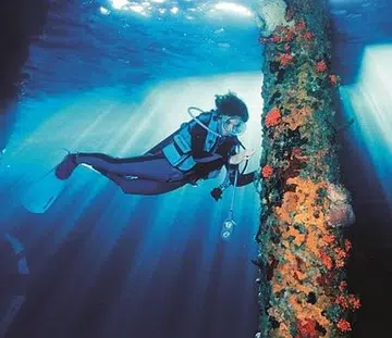 Sylvia Earle
