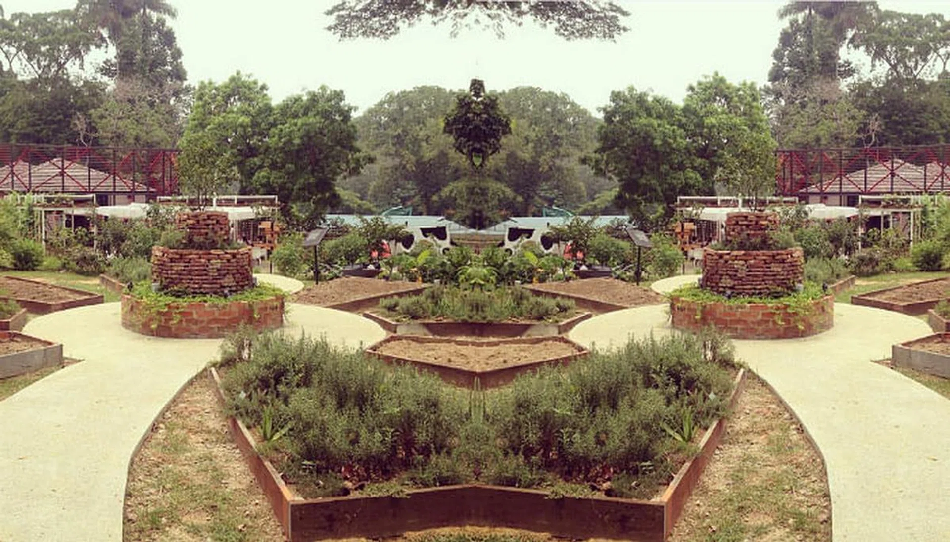 Organic, Food