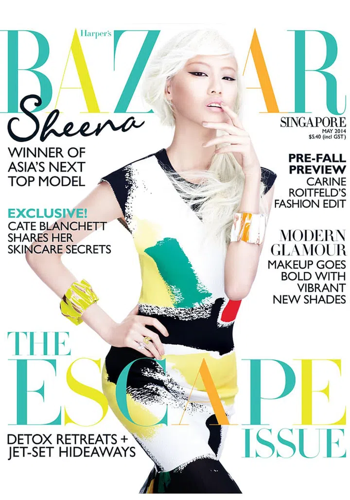 In some of the rarest and art-iests occasions Phoebe Philo played with prints. This colourful knit combo was worn on Asia's Next Top Model Cycle 2 winner, Sheena Liam.