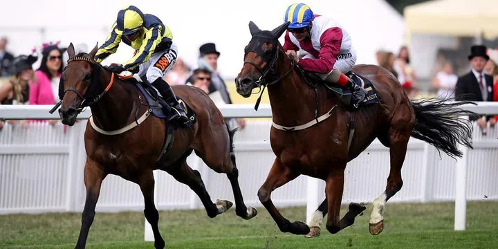 Jockeys on horseback bolt down the track.
Photo: Getty