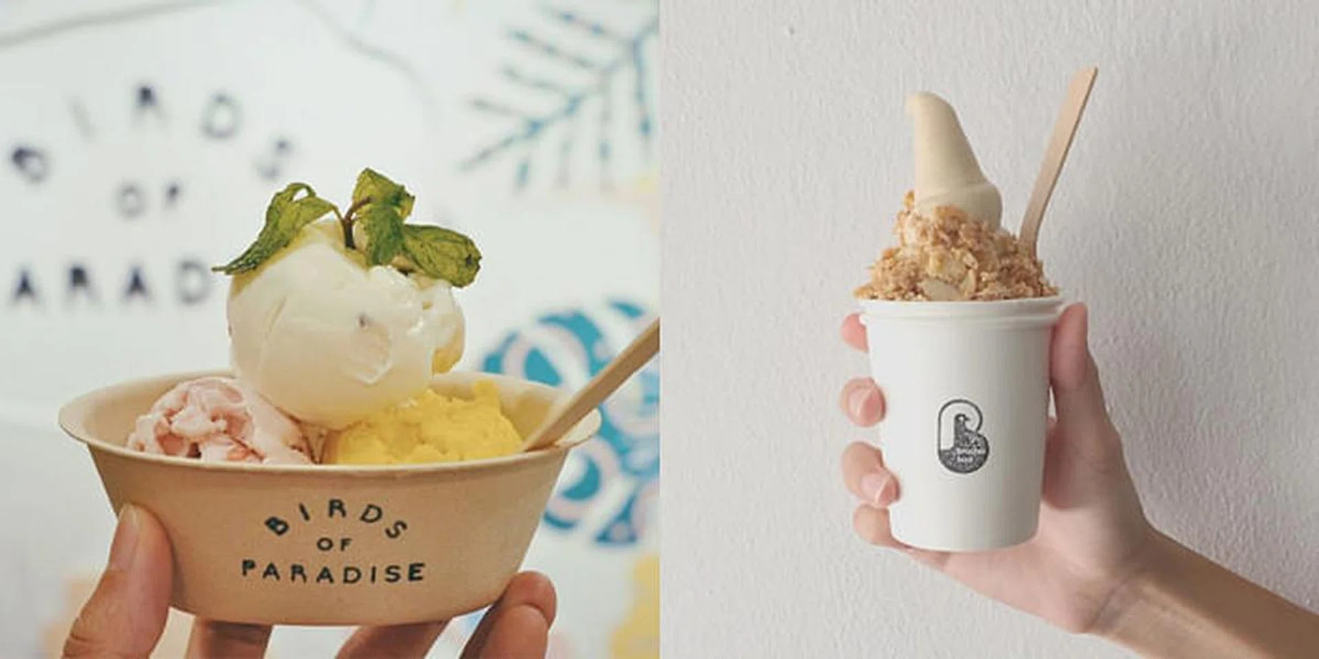 bird-themed cafes