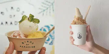 bird-themed cafes