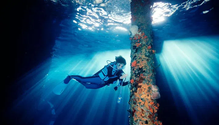 Dr. Sylvia Earle, photographed by fellow Testimonee David Doubilet.