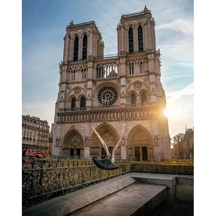 Photo: Instagram/@hello_france