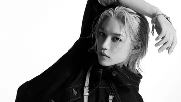 Felix Stray Kids Louis Vuitton