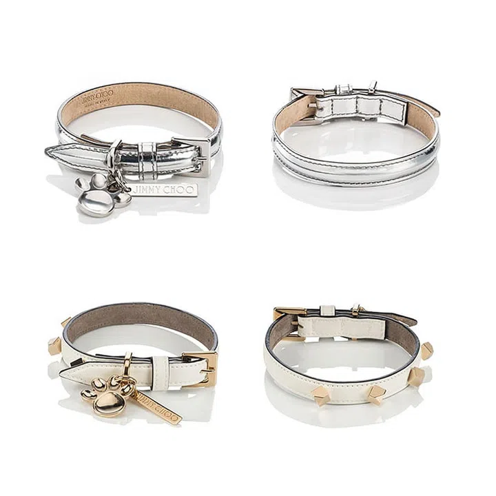 jimmy choo bull terrier