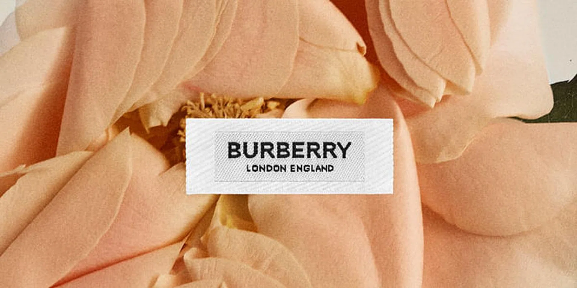 Burberry FW20 Livestream