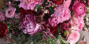 Charlotte-Puxley-feature-image