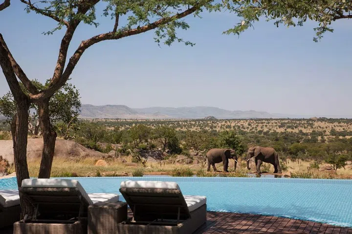 This free-form, 25-meter infinity pool overlooks an elephant watering hole and Serengeti plains. With sunbeds and bar service, it's an idyllic setting from which to watch a sunset or admire the animals congregating nearby. "Throughout the year, the elephants are the most frequent visitors, yet in the dry days before the rainy season begins, we often see many more wildlife visitors—including zebras, gazelles, buffalo, wildebeest and on rare occasions, even lions and giraffes," says the lodge's general manager, Martin Cody. "There are times when guests need not even leave the property to see such an array of animals!" 