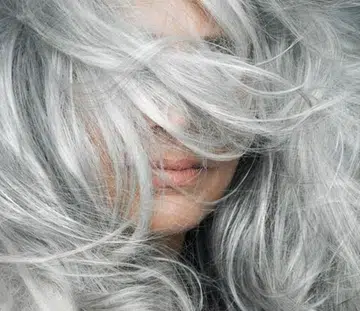 Gray Hair
