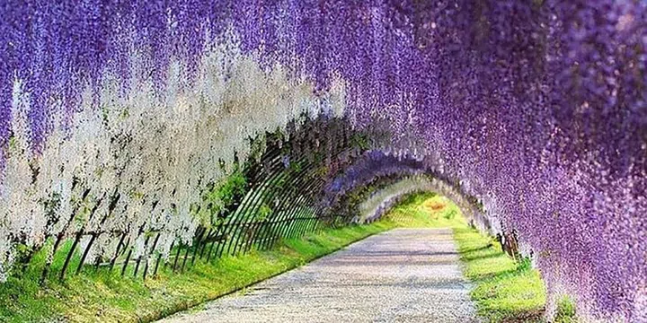 Photo: Instagram