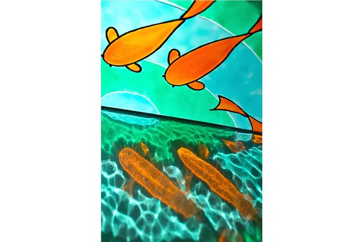 20 cm x 25cm