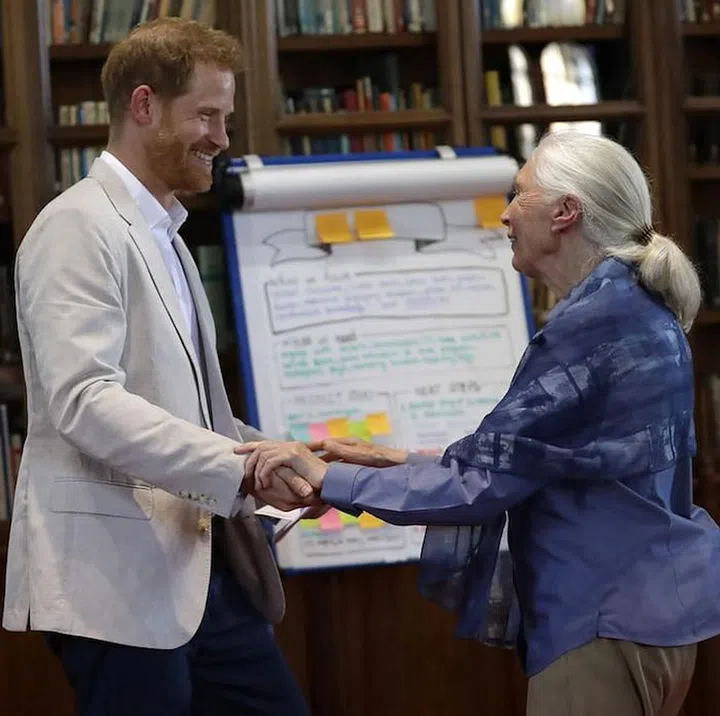 Jane Goodall Prince Harry