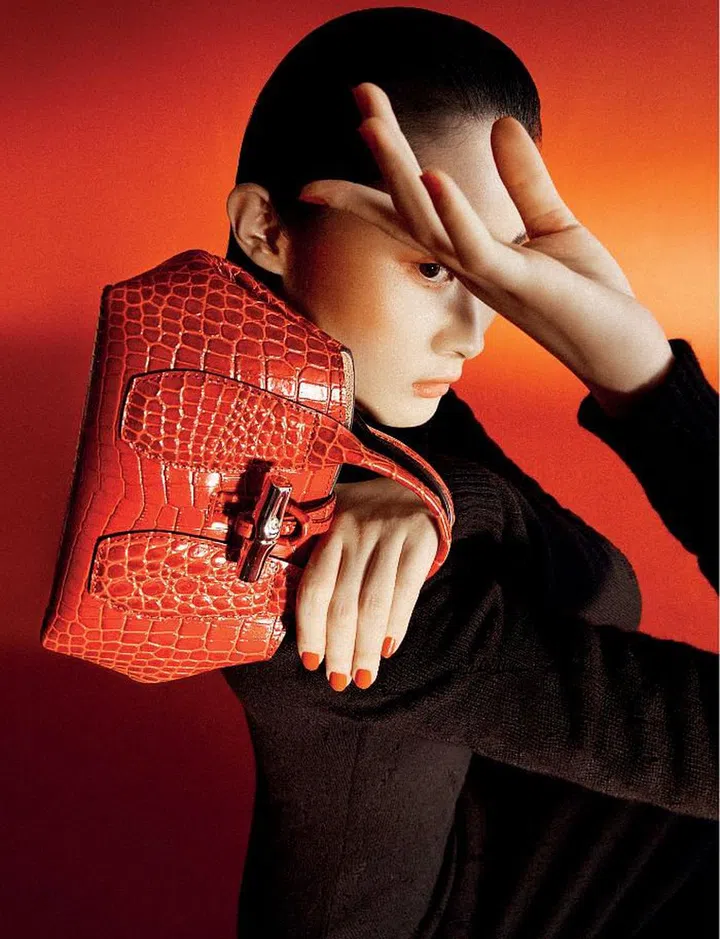 Roseau Croco Mini Top Handle bag, $815; sweater, $290; dress, $835.