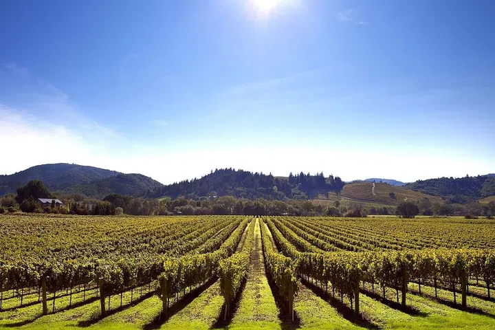 “Sonoma has all of the benefits of the more expensive Napa, like vineyards and spas,” says Batkin. “But since it’s smaller and more up-and-coming, the prices aren’t as steep.” Use the Gaige House as your home base while you explore area wineries. After a long day of tasting, kick back at the cozy B&B, which offers an evening wine and cheese reception and has an onsite spa. Photo: Getty 