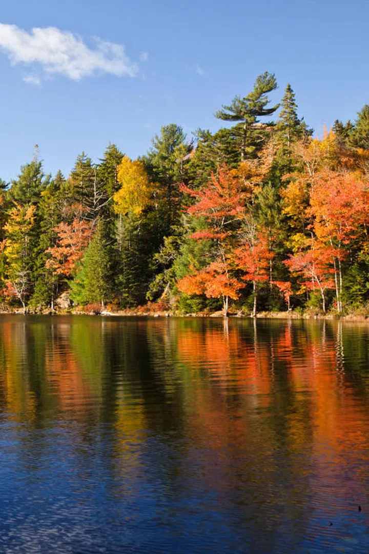 Looking for a mini-moon destination to slip away to after your fall wedding? Eagle Lake in Acadia National Park would be a beautiful place to recharge post nuptials. Photo: Getty