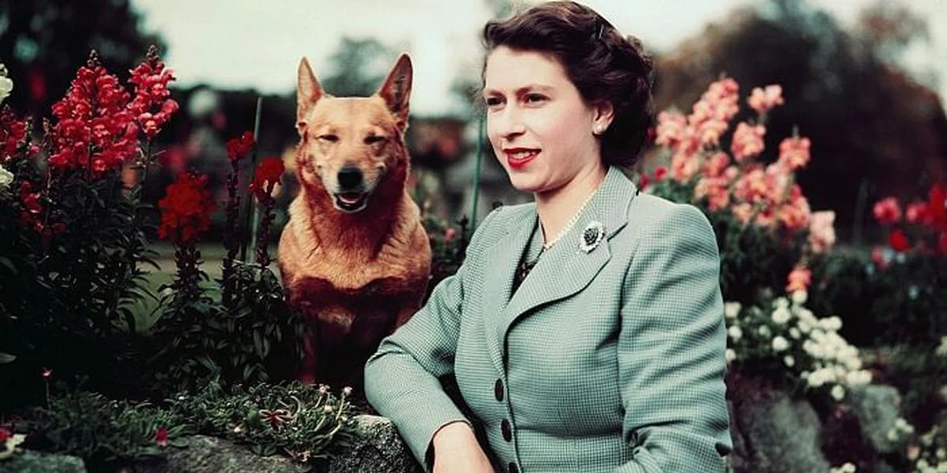 Queen Elizabeth
