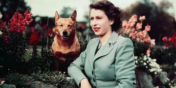 Queen Elizabeth