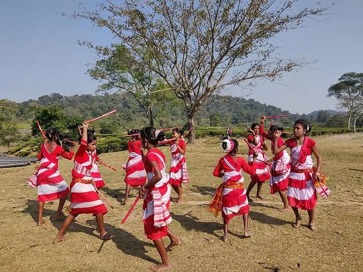 Dancing students performing in a tea plantation. Photo: Mayresh Hendre