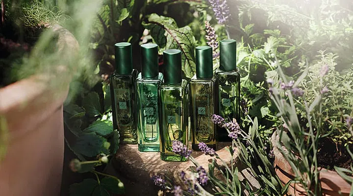 Photo: Courtesy of Jo Malone London