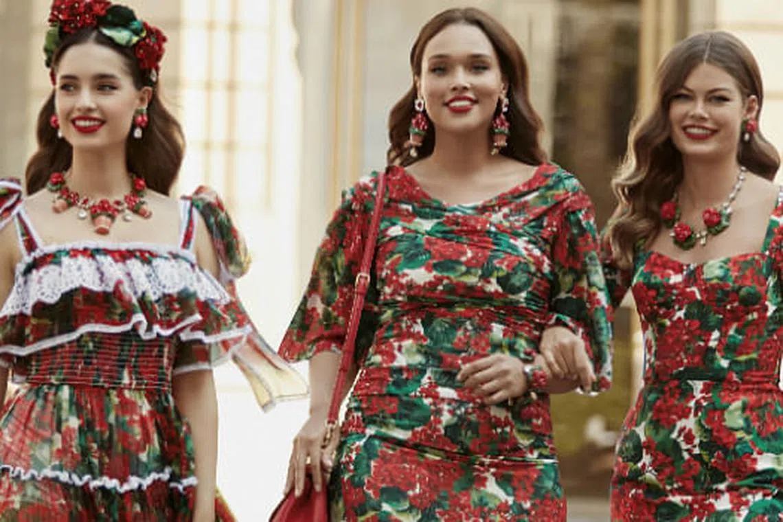 Dolce gabbana plus size clothing store