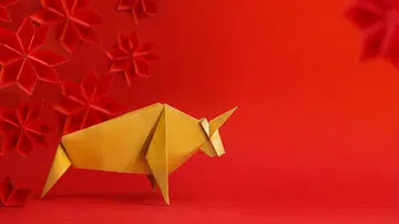 Year of the Ox Fortune