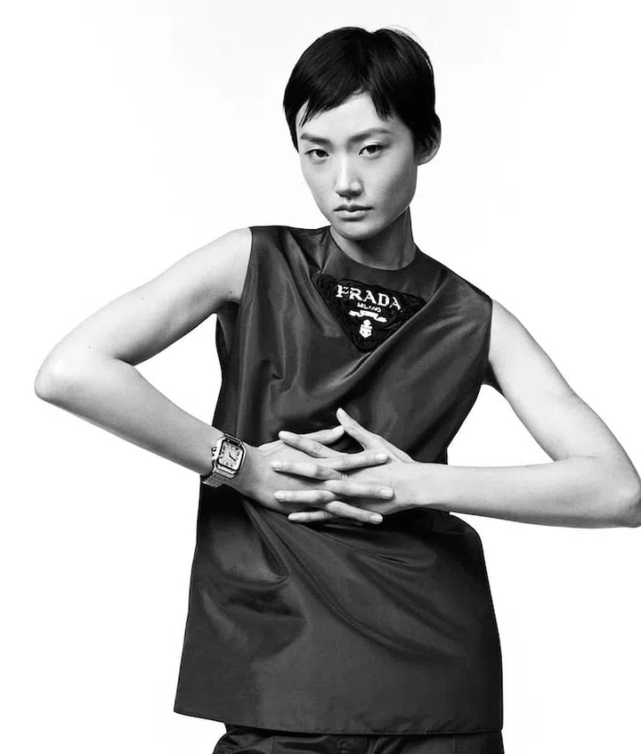 Cartier Designs That Resist The Vagaries of Time