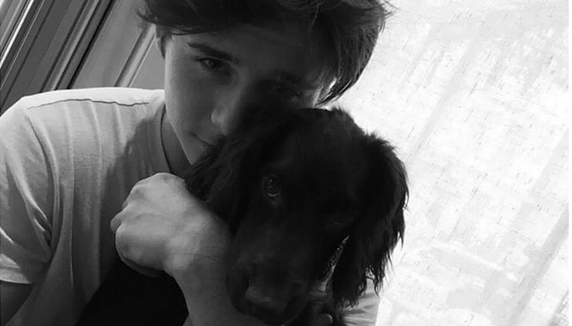 olive beckham instagram