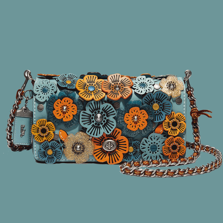 coach pre-fall 2017