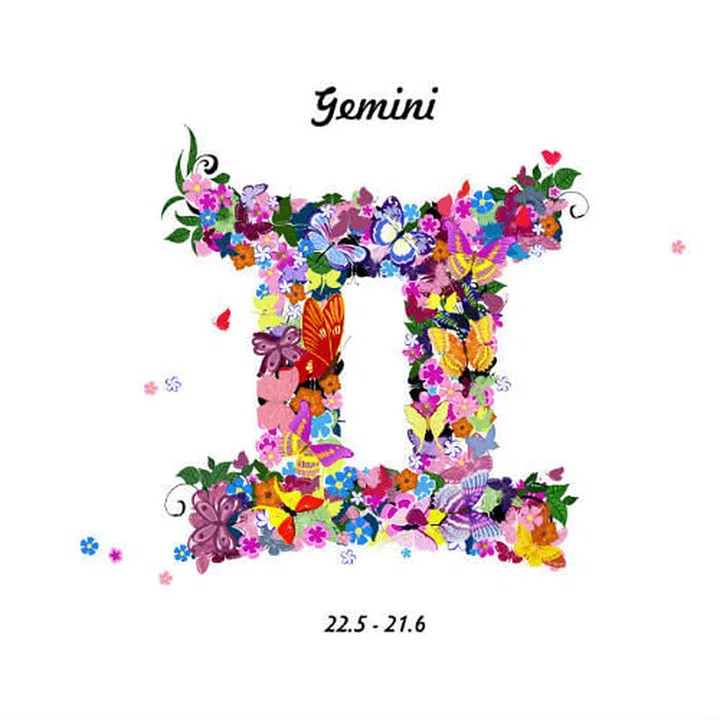 Gemini