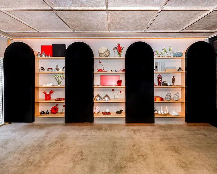 Pinaree Sanpitak Shelves at The Den