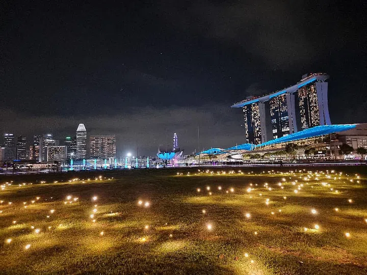 hbsg-ilight-singapore-fireflyfield