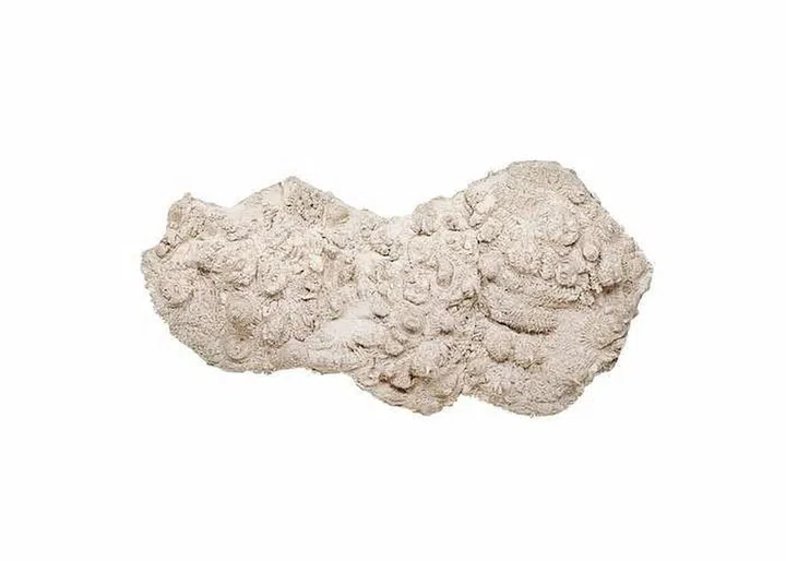 She by Fanglu Lin, the winner of the 2021 LOEWE FOUNDATION Craft Prize (Photo: LOEWE)