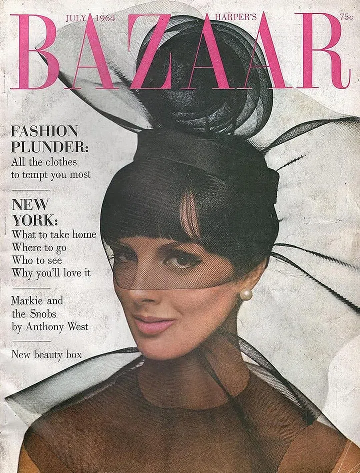 The Italian model Tilly Tizzani is a stroke of (sheer) genius