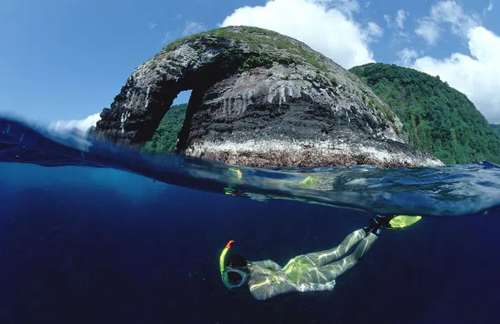 As the only island in the eastern Pacific with a dense tropical rainforest, the climate and ecology of Cocos Island is particularly unique. Plus, with plenty of sharks, rays, tuna and dolphins swimming around, Cocos Island is a diver's paradise.