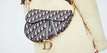 dior saddle bag