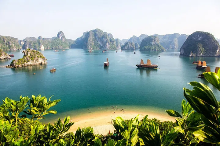 Photo: Shutterstock
