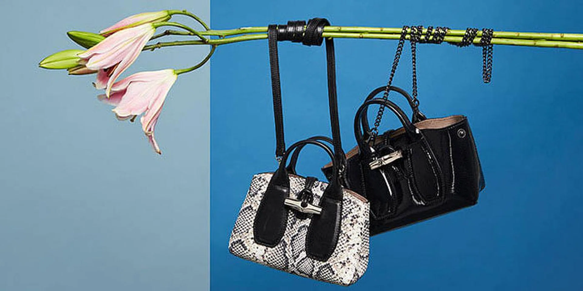 Longchamp-Roseau-feature-image