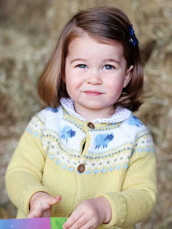 A new portrait of Princess Charlotte, taken at her home by her mother, The Duchess of Cambridge, is released to celebrate her second birthday. 