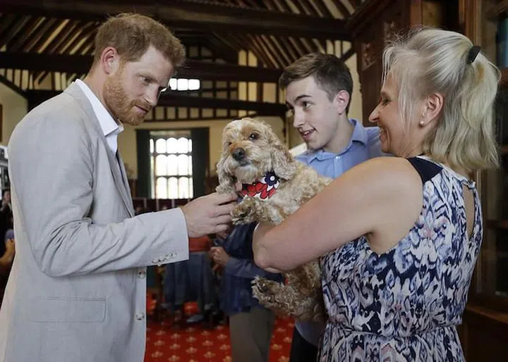 Jane Goodall Prince Harry