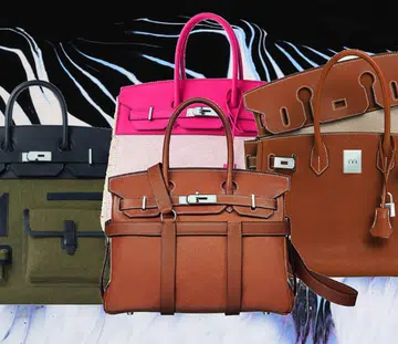5 Birkins
