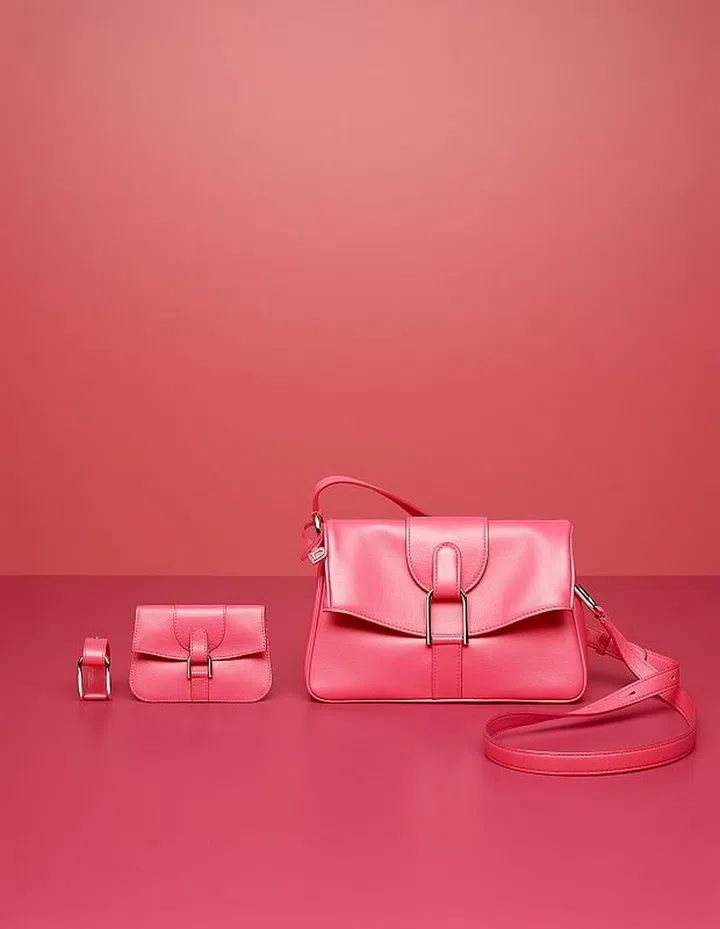 Photo: Courtesy of Delvaux