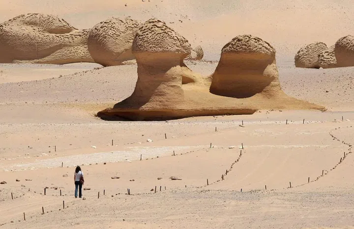 Wadi El-Hitan, or Whale Valley, is located in the Western Desert of Egypt and was designated a World Heritage Site because it features impressive numbers of fossils of an early whale species called Archaeoceti. These fossils are considered evidence that whales evolved from a land species to the ocean mammal we know today.