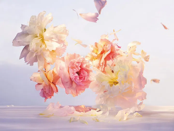An inspiration for the organic form of the cap atop a Louis Vuitton. (Photo: Louis Vuitton)