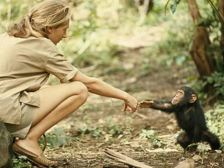 Photo: National Geographic