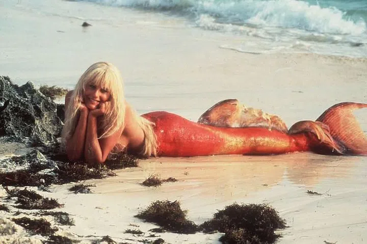 It seems that sea sirens are still desirable when it come to fancy dress. Photo: Rex