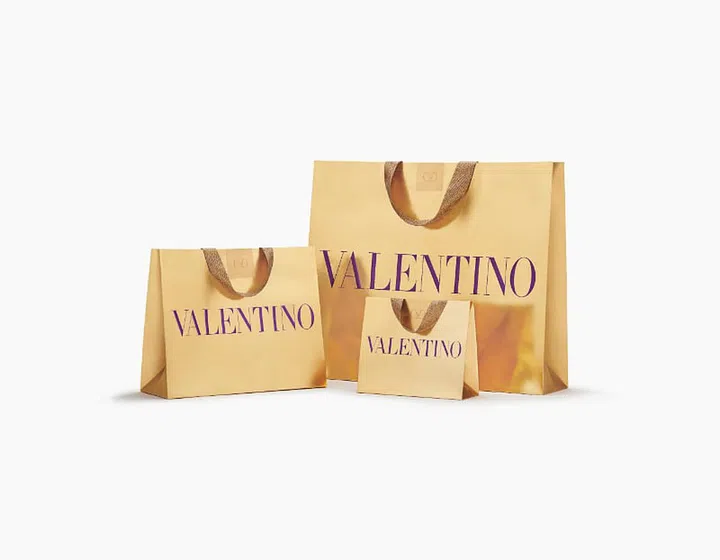 Valentino bags