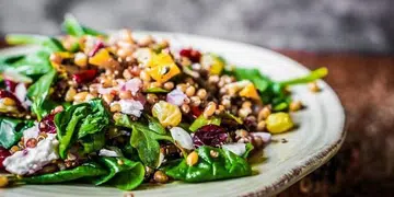 Food Subscription Services