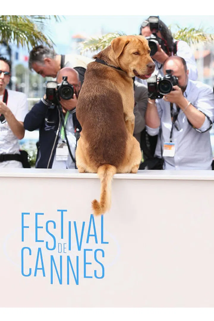 Dogs <3. Photo: Getty